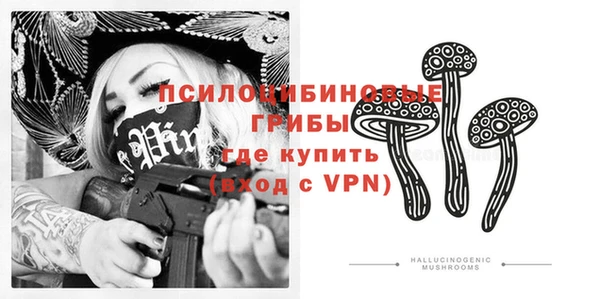 сатива Сясьстрой